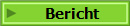 Bericht
